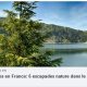 Article Le Figaro Confitures du Climont